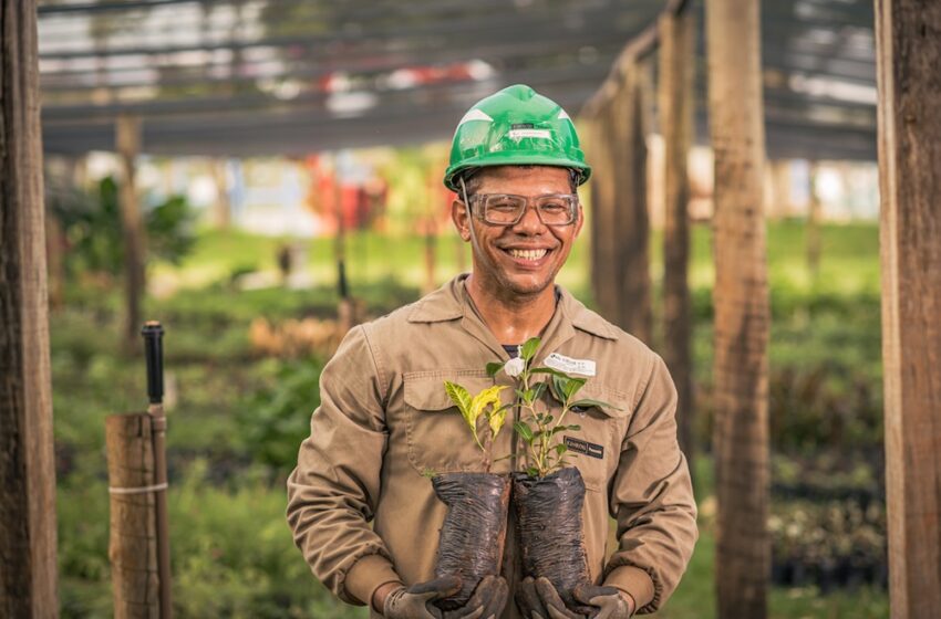  Plantando o Futuro: por um Planeta Melhor